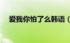 爱我你怕了么韩语（爱我你怕了吗韩语）