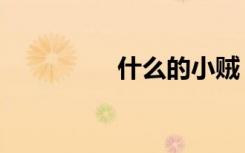 什么的小贼（小贼多情）