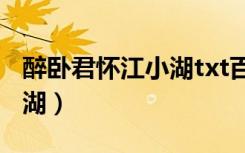 醉卧君怀江小湖txt百度网盘（醉卧君怀 江小湖）