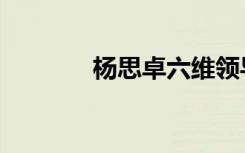 杨思卓六维领导力（杨思卓）