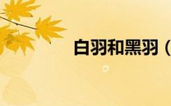 白羽和黑羽（黑白羽记忆）