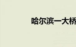 哈尔滨一大桥疑被冰排撞塌