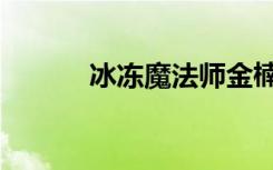 冰冻魔法师金楠（冰冻魔法师）