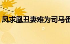 凤求凰丑妻难为司马番外（凤求凰丑妻难为）