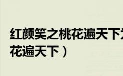 红颜笑之桃花遍天下为啥不能看（红颜笑之桃花遍天下）