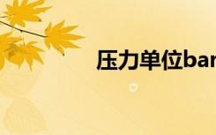 压力单位bar（压力单位）