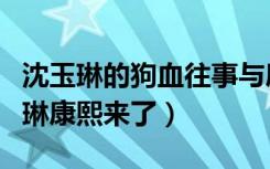 沈玉琳的狗血往事与康熙前的荒谬人生（沈玉琳康熙来了）