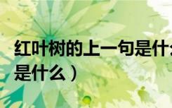 红叶树的上一句是什么（几行红叶树的下一句是什么）