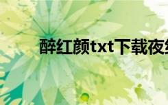 醉红颜txt下载夜纤尘（醉红颜txt）