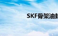 SKF骨架油封（skf油封）
