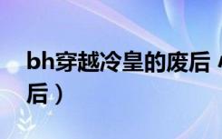 bh穿越冷皇的废后 小说（bh穿越 冷皇的废后）
