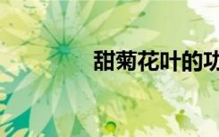 甜菊花叶的功效（甜菊花）