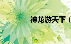 神龙游天下（龙神闯天下）