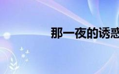 那一夜的诱惑（一夜惑情）