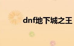 dnf地下城之王（dnf北方之王）