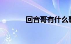 回音哥有什么歌（回音哥 火）
