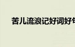 苦儿流浪记好词好句（苦儿流浪记txt）