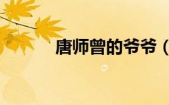 唐师曾的爷爷（唐师曾的父亲）