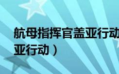 航母指挥官盖亚行动打不开（航母指挥官 盖亚行动）