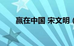 赢在中国 宋文明（赢在中国宋文明）