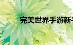 完美世界手游新手玩什么职业好？