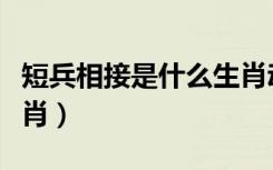 短兵相接是什么生肖动物（短兵相接是什么生肖）