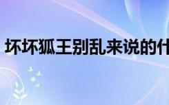 坏坏狐王别乱来说的什么（坏坏狐王别乱来）