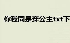 你我同是穿公主txt下载（你我同是穿公主）