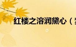 红楼之溶润黛心（梦续红楼之溶黛心）