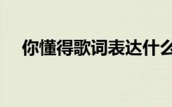 你懂得歌词表达什么情感（你懂得歌词）
