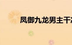 凤御九龙男主干净吗（凤御九龙）