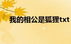 我的相公是狐狸txt（狐狸相公txt新浪）