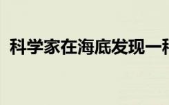 科学家在海底发现一种被认为已灭绝的生物