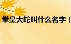 拳皇大蛇叫什么名字（拳皇之我是冒牌大蛇）