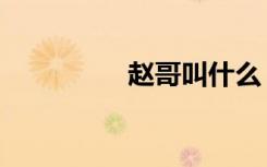 赵哥叫什么（赵迪哥哥）