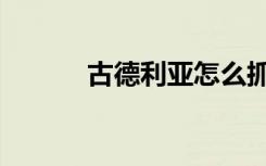 古德利亚怎么抓（德古怎么抓）