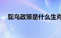 鸵鸟政策是什么生肖（鸵鸟政策的含义）