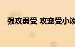 强攻弱受 攻宠受小说（强攻弱受 攻宠受）