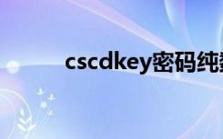 cscdkey密码纯数字（cscdkey）