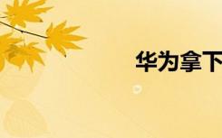 华为拿下支付牌照