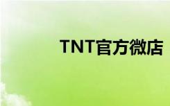 TNT官方微店（tnt微端登陆）