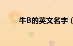 牛B的英文名字（牛b的英文名字）