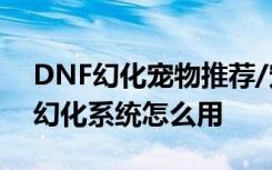DNF幻化宠物推荐/宠物幻化排名 DNF宠物幻化系统怎么用