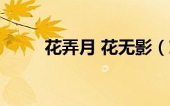 花弄月 花无影（穿越之花月弄影）