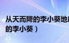 从天而降的李小葵地府笨犬百度云（从天而降的李小葵）