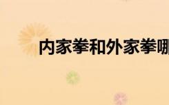 内家拳和外家拳哪个厉害（内家拳）