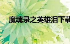 魔魂录之英雄泪下载（魔魂录之英雄泪）