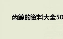 齿鲸的资料大全500字（齿鲸的资料）