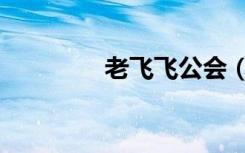 老飞飞公会（老飞飞私服）