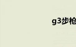 g3步枪（g3r）